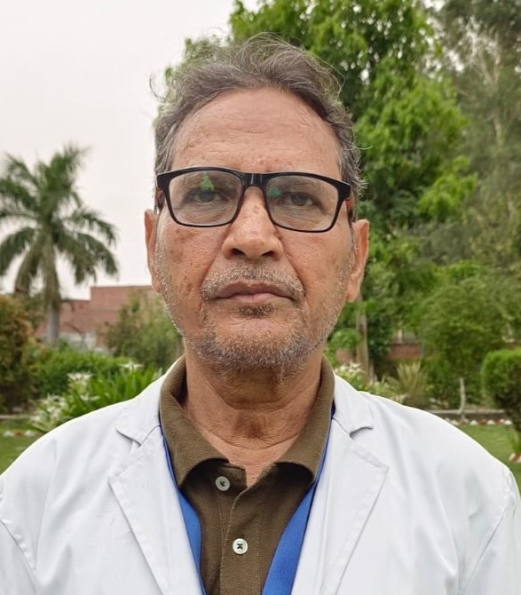 Teacher